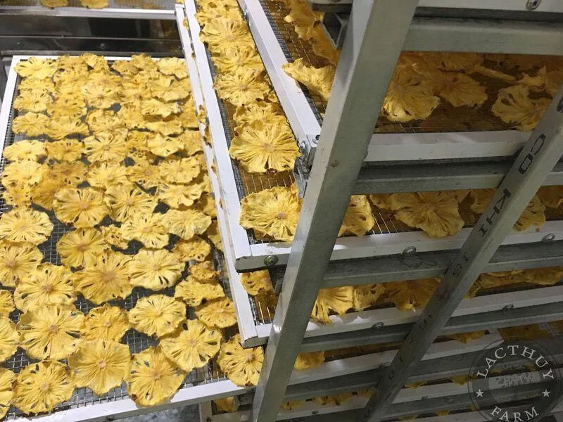 [Лидер продаж] органический сушеный ананас по оптовой цене-Вьетнам лучшие сухие фрукты