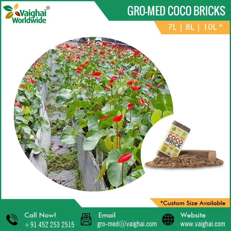 Coco Coir Peat Bricks | Perfectly suited To Grow Fruit Plants Herbs And Succulents