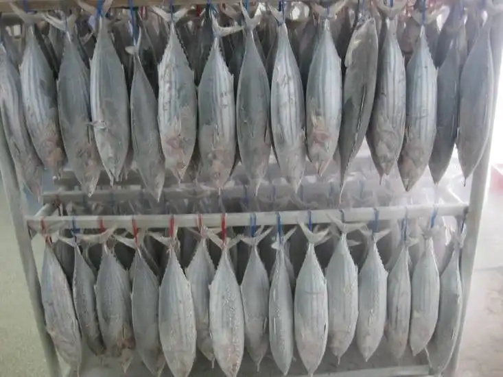 
Cheap Price Fresh Fish Frozen Yellow Fin Tuna 
