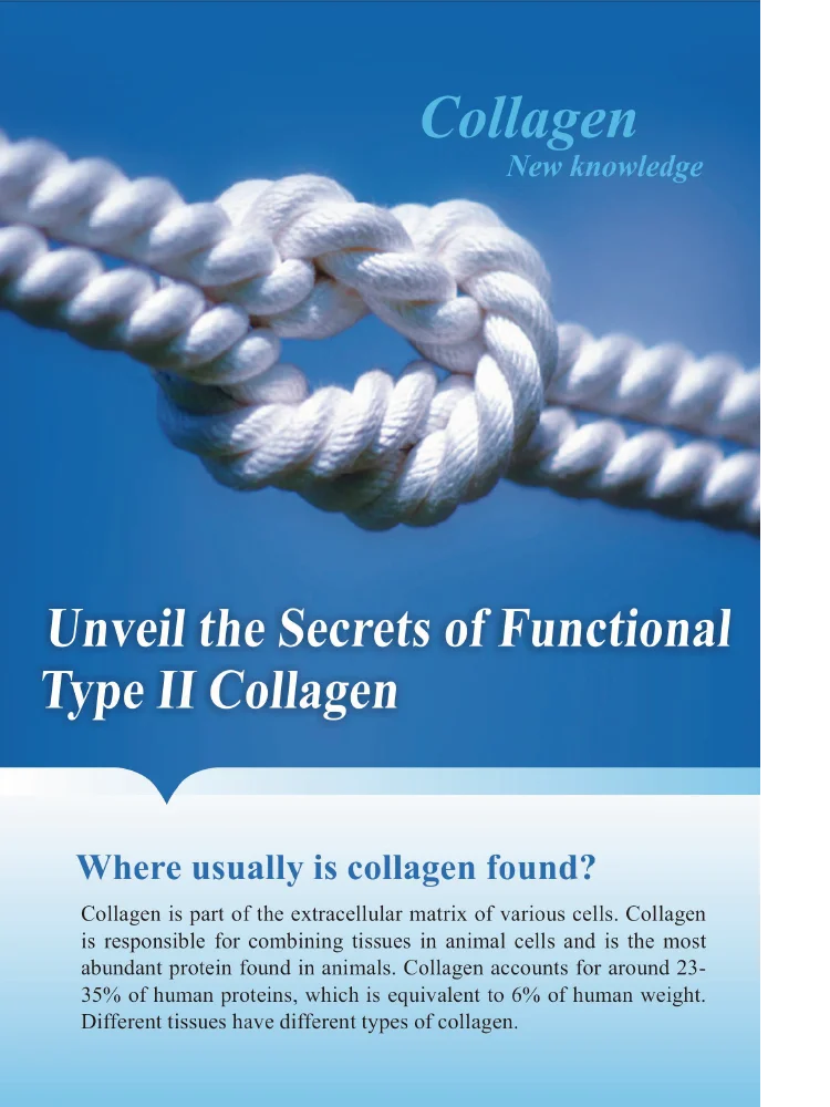 
chicken undenatured type ii collagen for joint care 