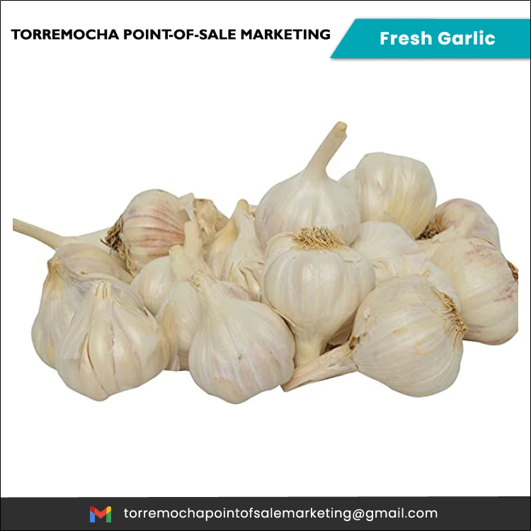 Healthy Natural New Crop Pure Natural Organic Fresh Philippines White Garlic at Least Price