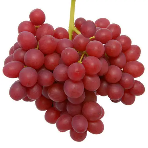 Fresh Green Grapes for sales