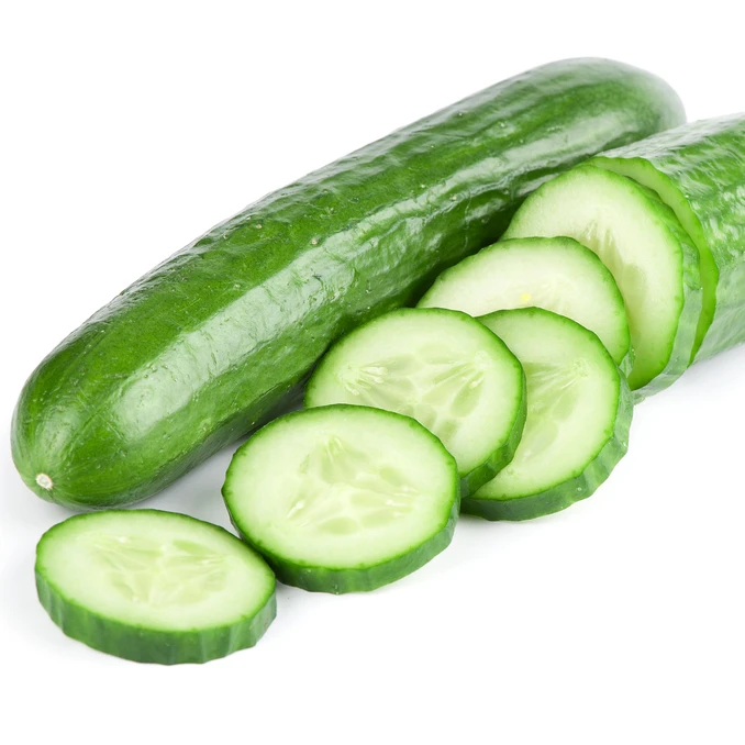 Здоровый огурец из Индии, готов к экспорту