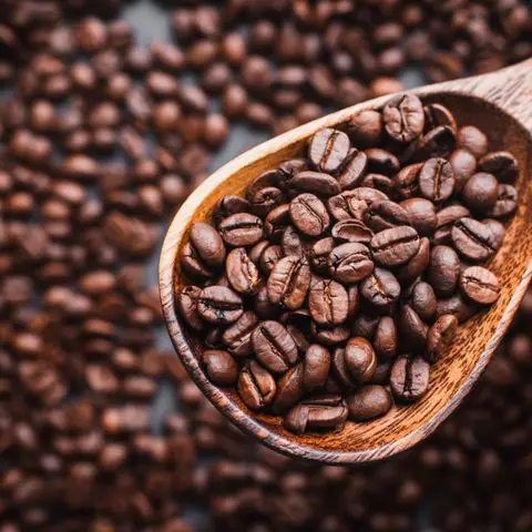 Wholesale Best Quality Bulk Robusta Coffee Bean For Sale In Cheap Price