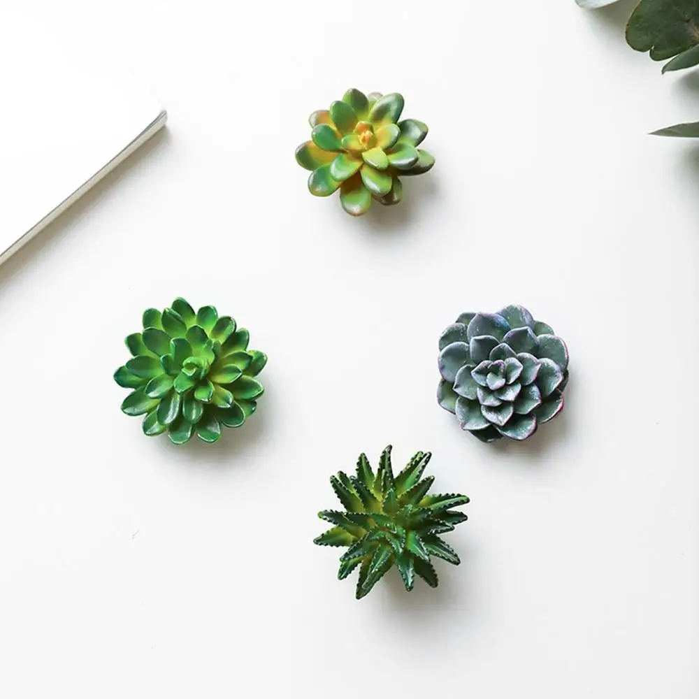 Funny 3D Resin Succulent Fridge Refrigerator Magnets Good Gift for Kid Friends