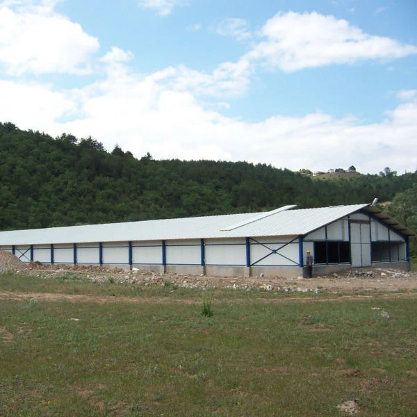 Сараи для домашнего скота и сельскохозяйственных объектов | Стальные конструкции CE ISO EN
