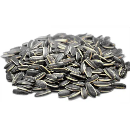 sunflower seeds wholesale large sunflower seeds for planting