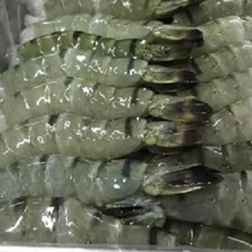 
Black tiger shrimp Head on shell on 