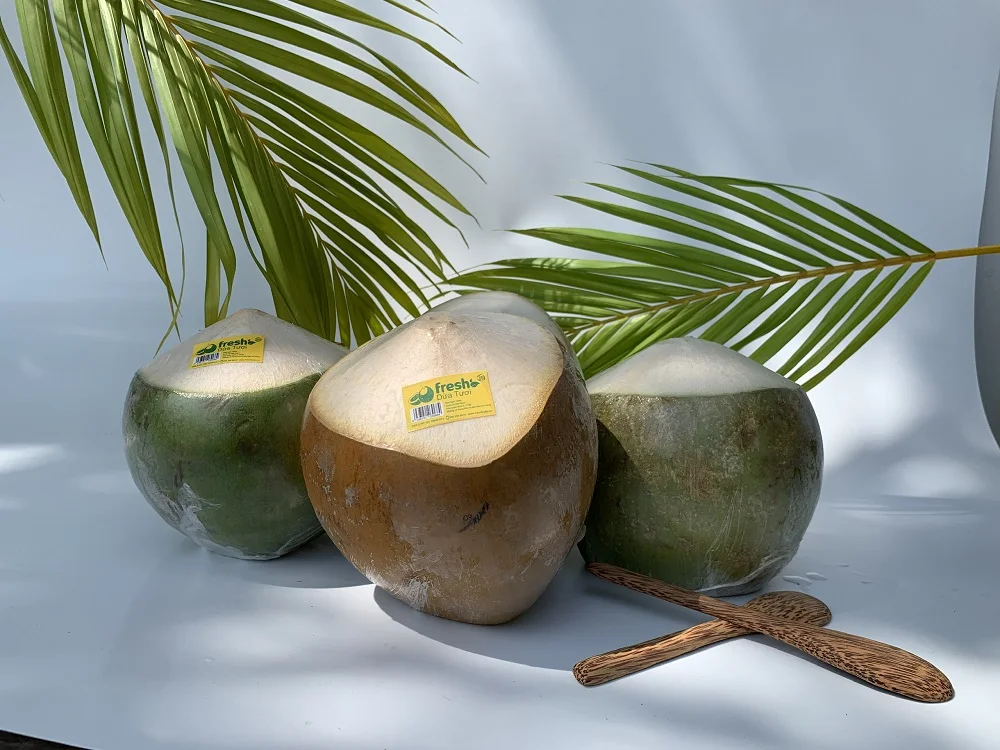 Vietnam Tropical Fruit And Semi-Husked Pulf and Shell Hat Cut Shape Exporter From Vietnam Young Coconut