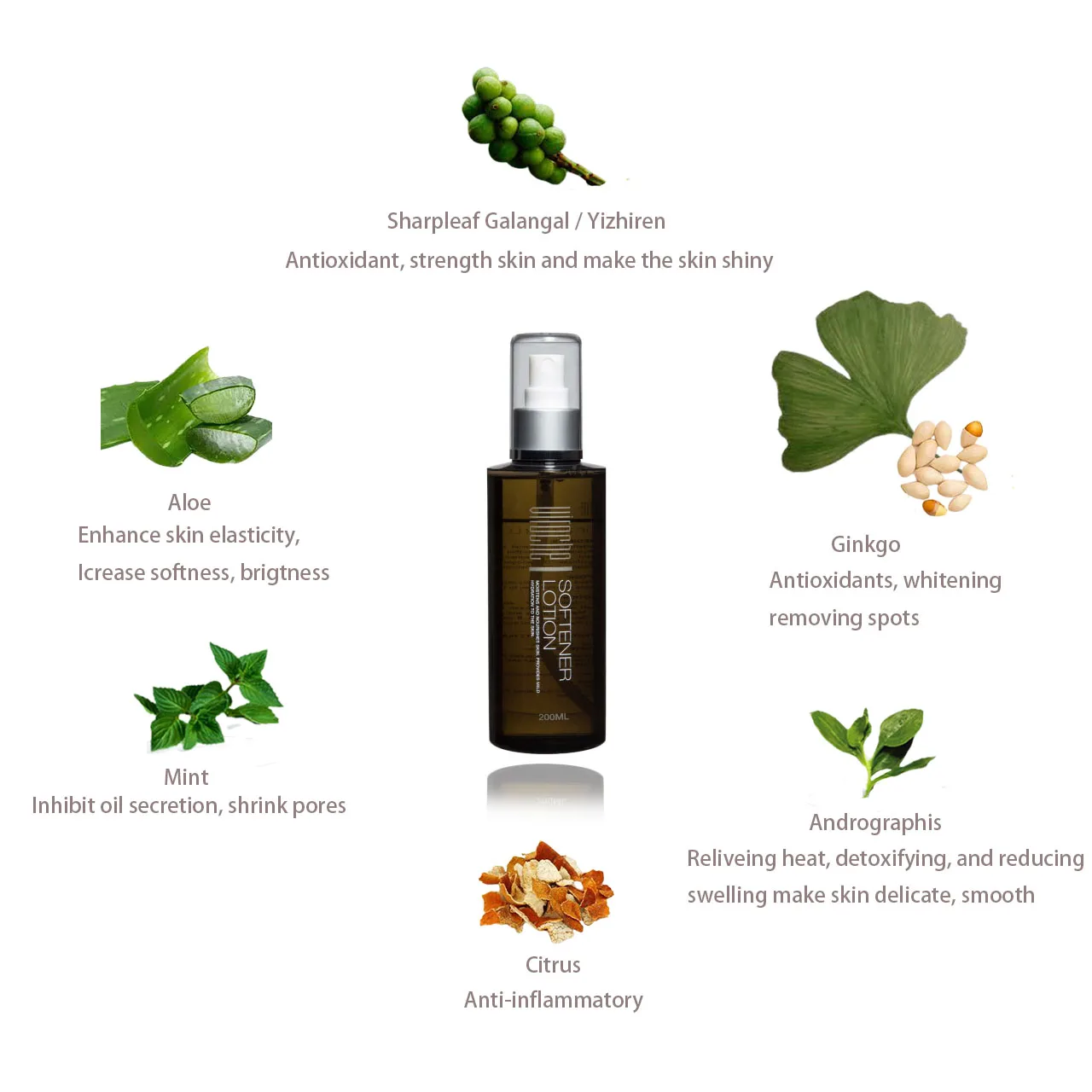 
Designed For Men Hot Selling Face Toner Moisturizing For Men Hydrating Facial Toner Face Toner 