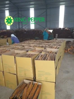 NEWEST CROP SPLIT CASSIA CINNAMON PRESSED CASSIA | Ms Lynn +84333421999 Whatsapp