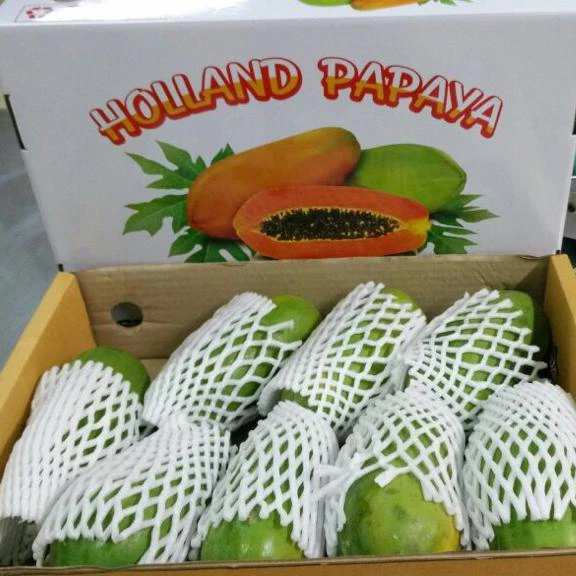 Papaya Loose Packing
