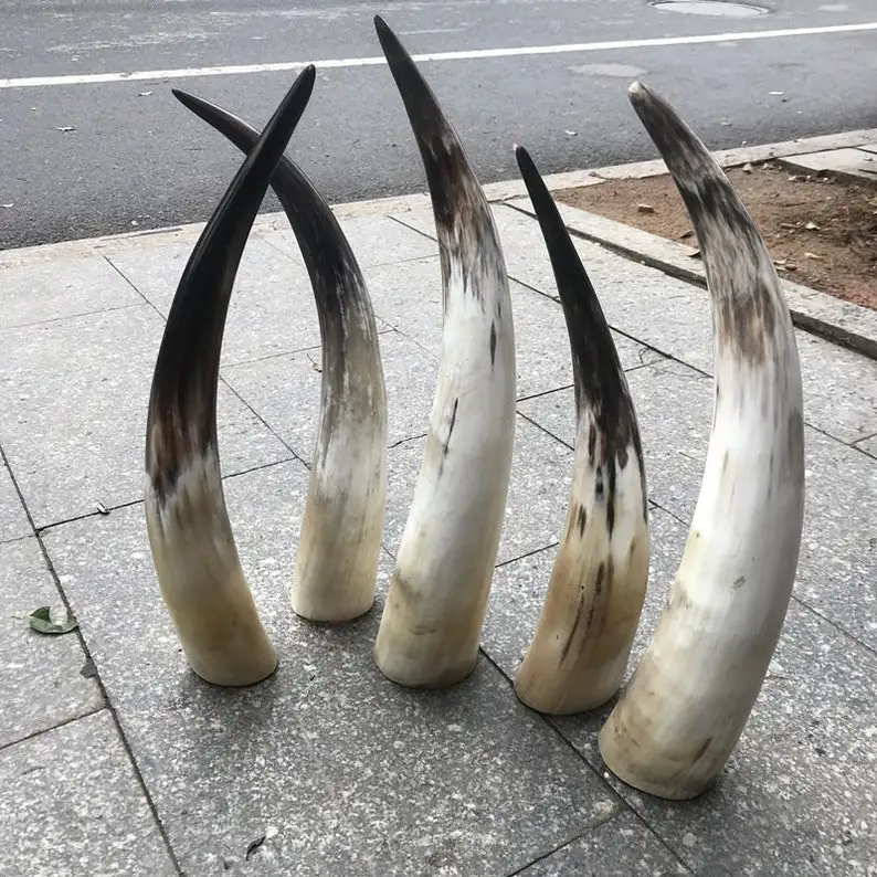 Высококачественный коровья гудок для дома и гостиницы современный большой полированный стол или декоративный продажи