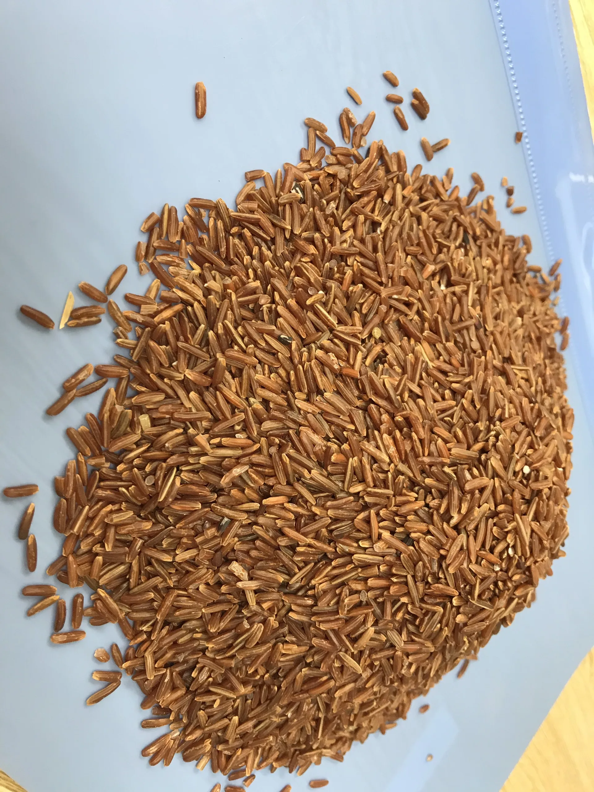 Top Quality New Product Export Large Quantity Five Percent Broken No Admixture Long Grain Red Vietnam Rice
