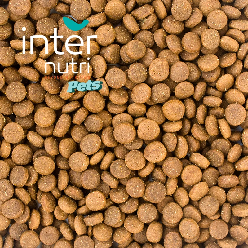 
Dry food for small breed adult dogs | INTERNUTRI ADULT SMALL 2,6kg 