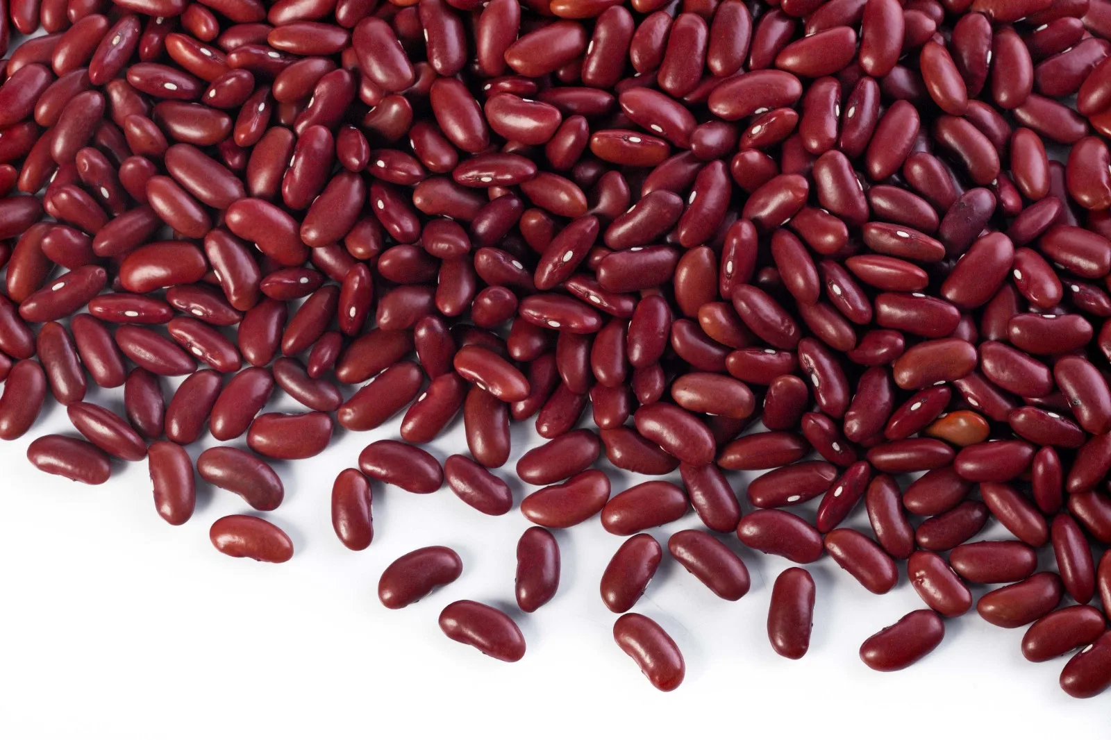 Organic Dark Red Kidney Beans with high quality from Viet Nam - Sven +84 966722357