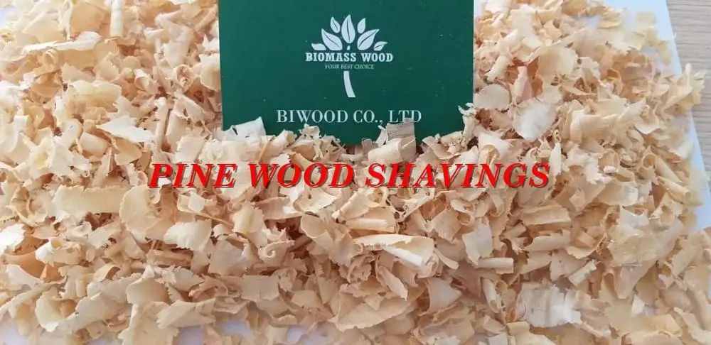PINE WOOD SHAVINGS FOR POULTRY AND PET FARM - GOOD STANDARD WHATSAPP: +84 911406611