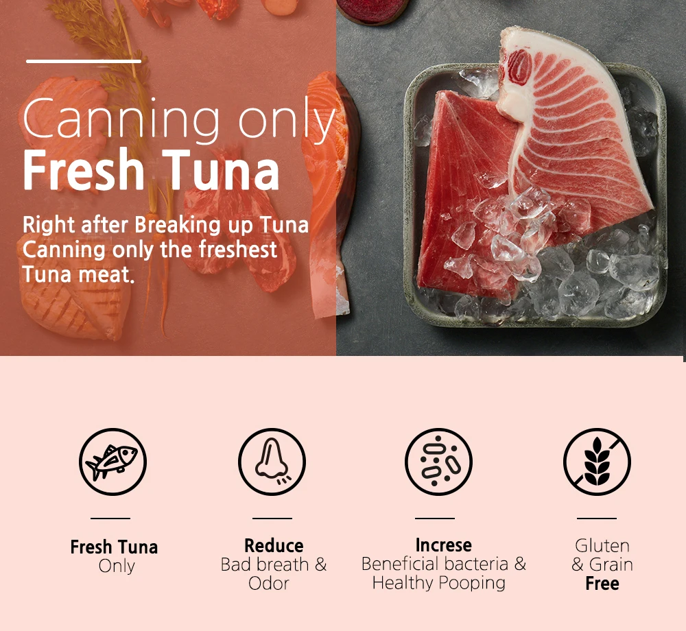 Wet Food Cat Korea Made Most Popular Pet Cat Food High Protein Dry Cat Food 160gr Can Made in Korea Tuna and Salmon