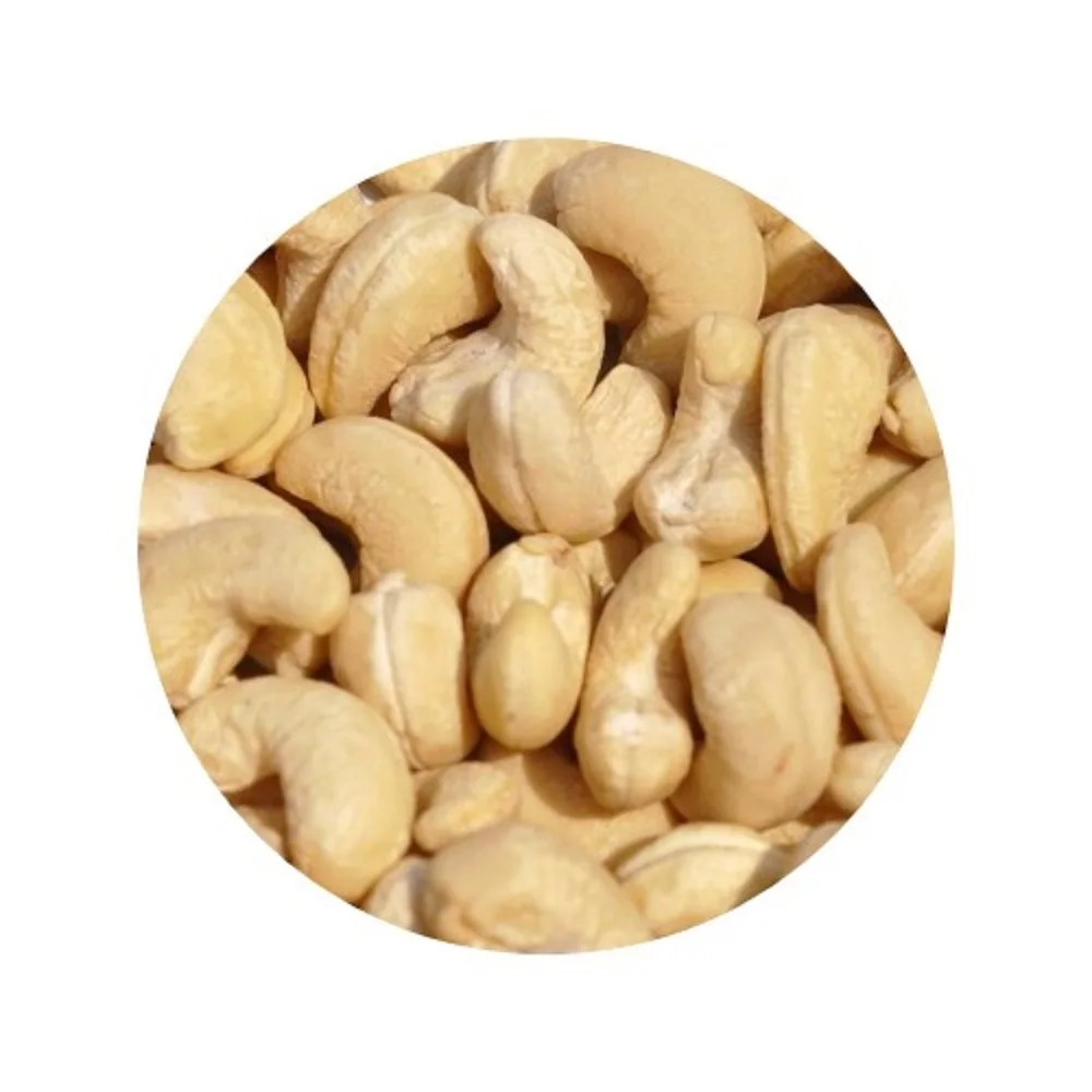 Salted Cashew Nut Best Price
