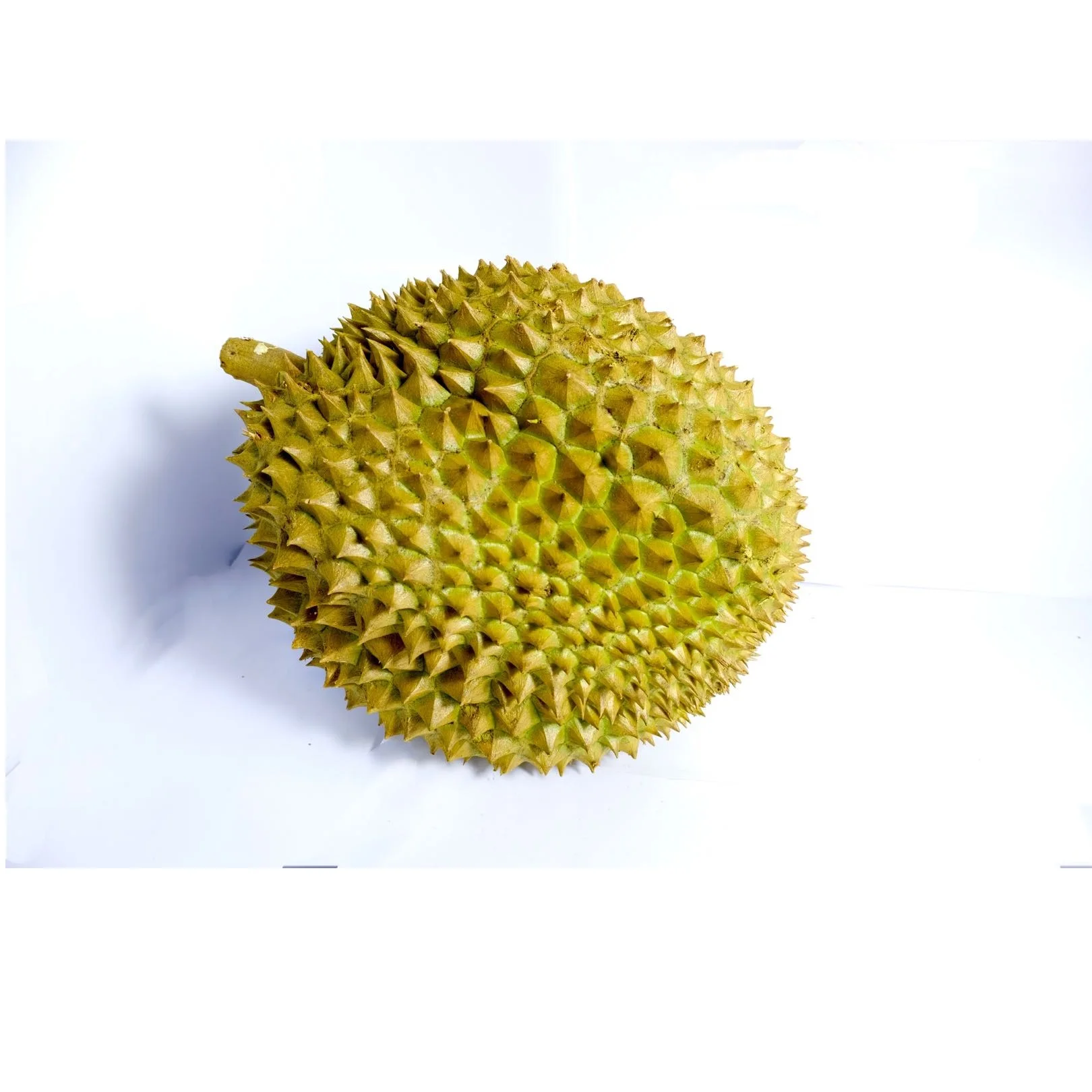 
Thailand High Quality Fresh Monthong Thai Durian Fresh Fruit With High Quality And Best Selling Price 