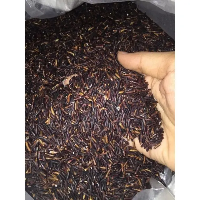 Фиолетовый травяной рис/питательный и витамин Richy черный рис 3% сломанный 14.5% влаги для продажи оптом/вьетнамский фиолетовый