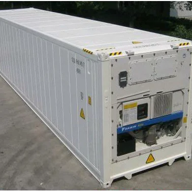 Standard Brand New 20FT 40FT Reefer Refrigerated Container Cheap Price