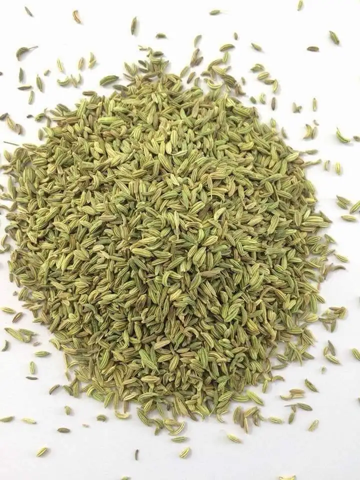 green fennel seeds human consumption purity 99.9 , ( Herbs home enterprise  for export )