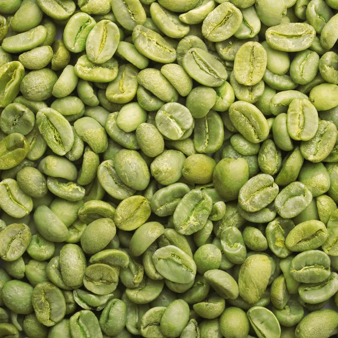 Оптовая цена кофейные зерна арабики 100% Органический кофе от вьетнамского агробренда