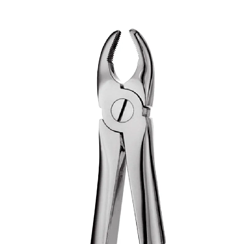 Lower Premolars Forceps English pattern extracting forceps for Lower Premolars  Dental, English Pattern Forceps, Extra
