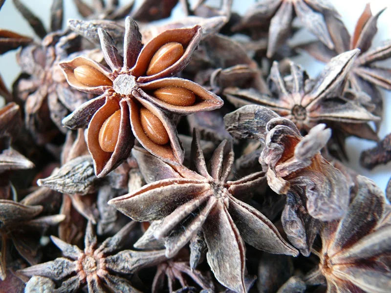 Best price single spices of star anise
