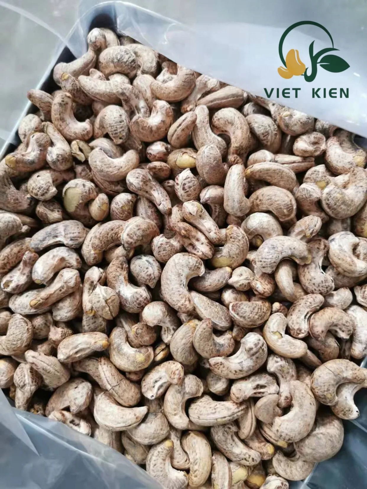Hot Sale Manufacturing Company In Vietnam Best Quality Roasted Cashew Nuts Products In Bulk Contact Now For Good Price