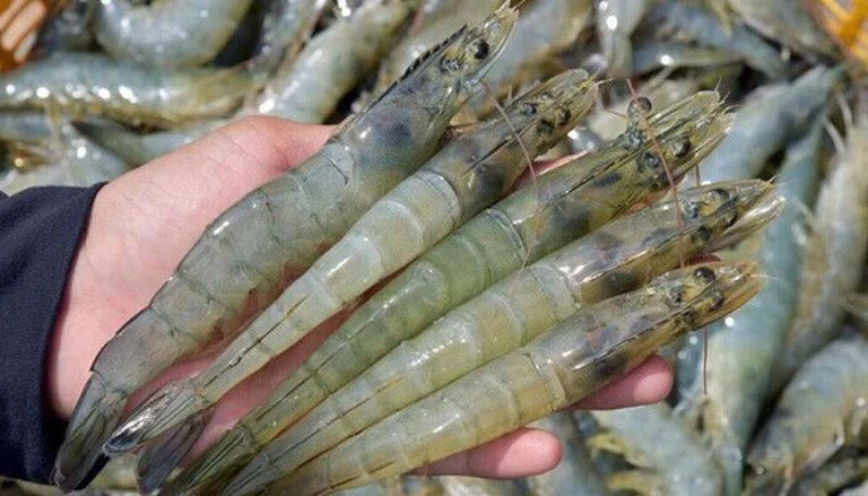 Вьетнамский поставщик свежих морепродуктов высококачественные креветки