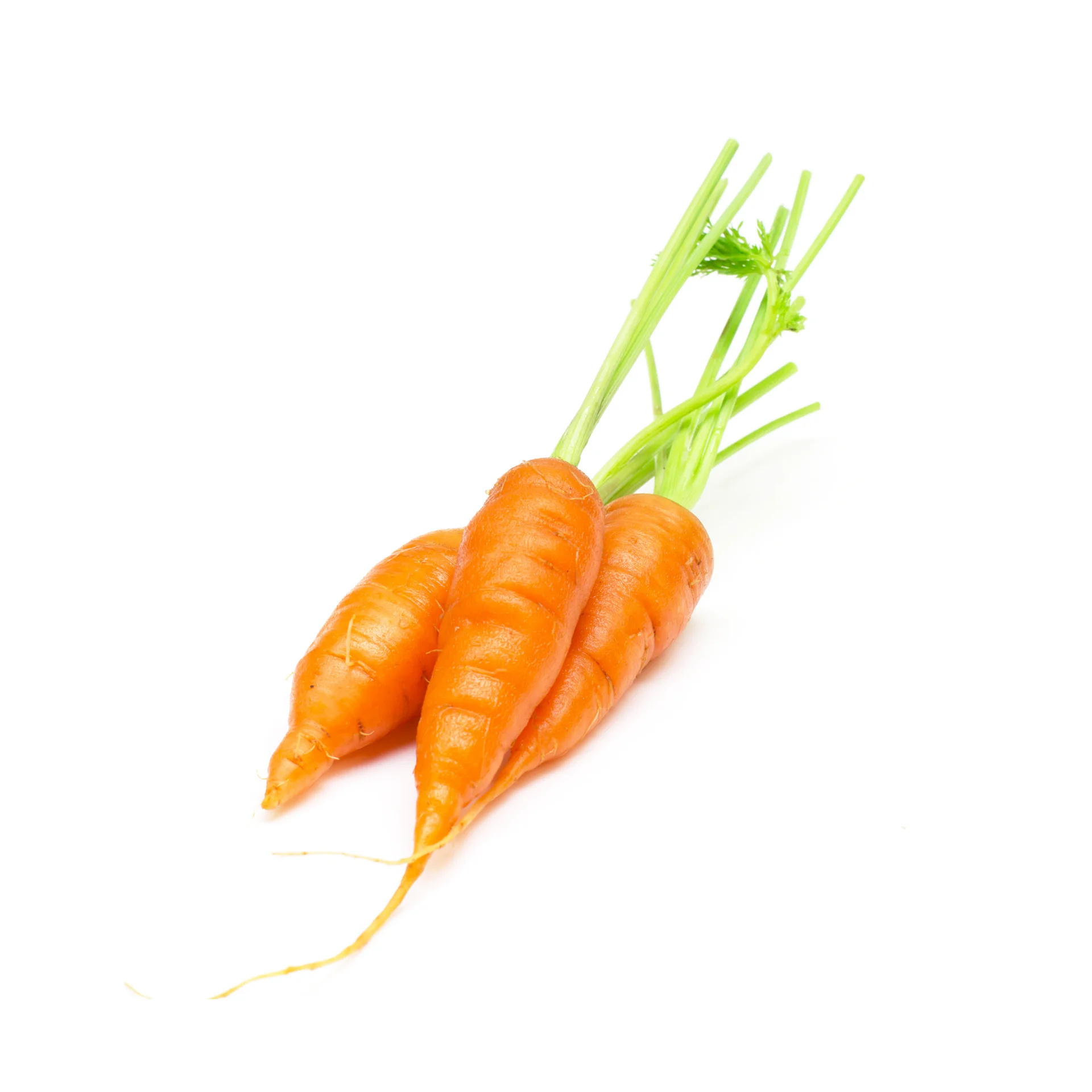 Детская морковка-высокое качество