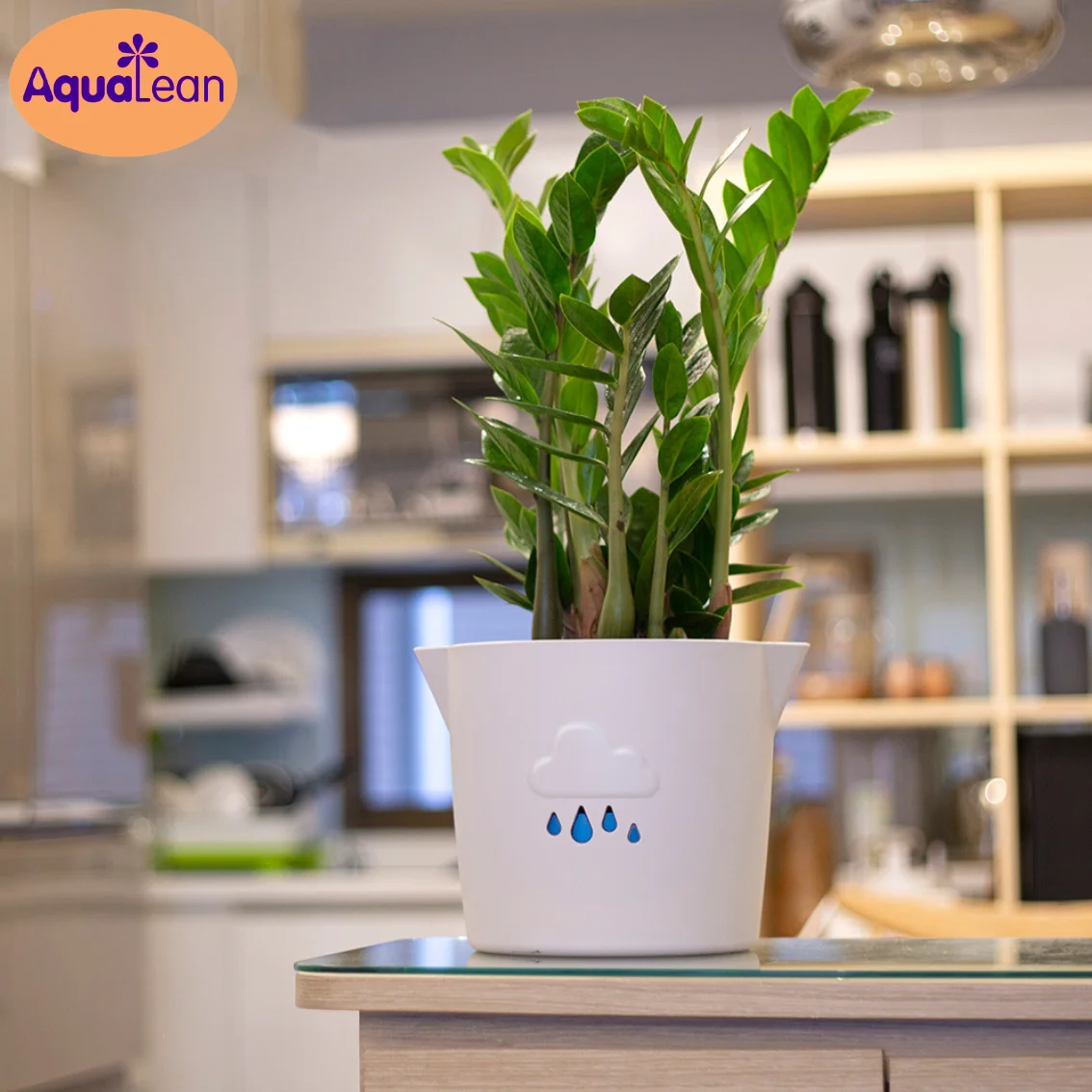 Лидер продаж кастрюля для растений с самополивом Aqualean flow mark
