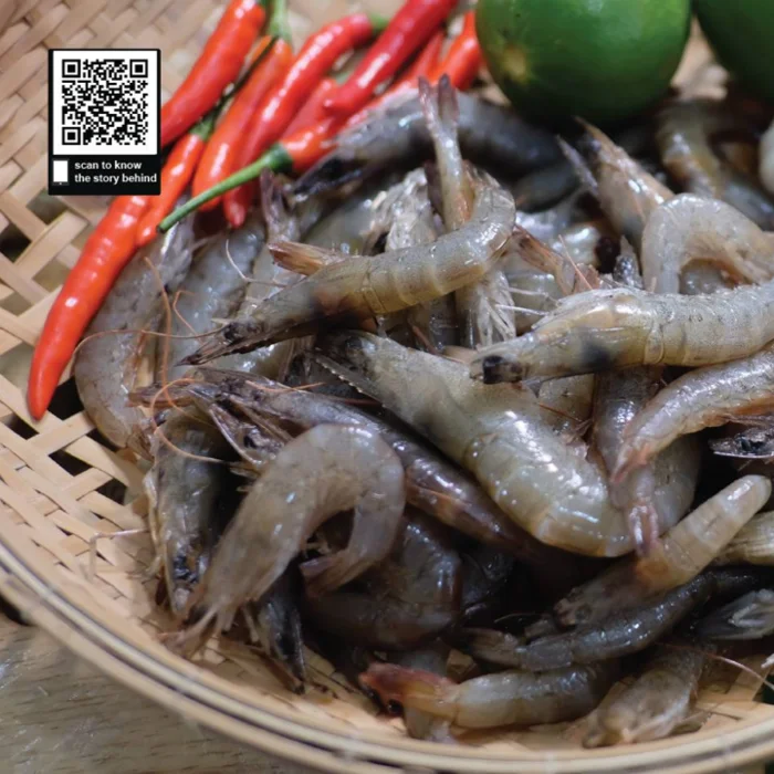 Best Quality Prawn Wholesale Raw Fresh Water Seafood Box 100% Natural Frozen Shrimp From Mangrove Forests Export From Vietnam