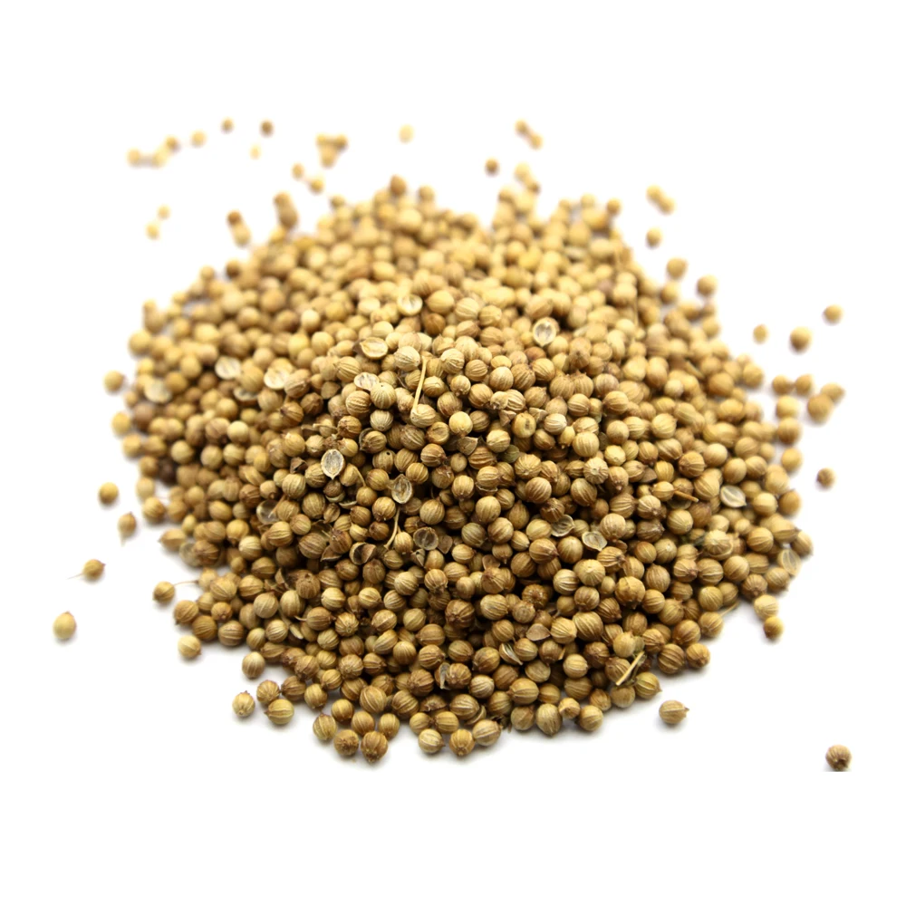 Hiqh quality pure coriander seeds wholesale prices, in stock