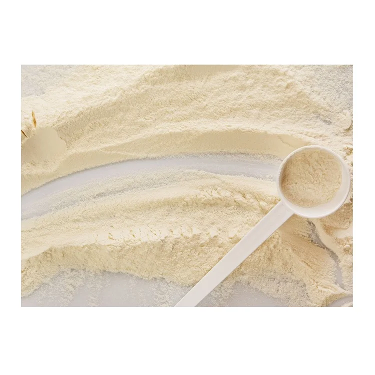 Hot Selling Price Of Non-GMO Soy Isolate Protein Powder in Bulk Quantity