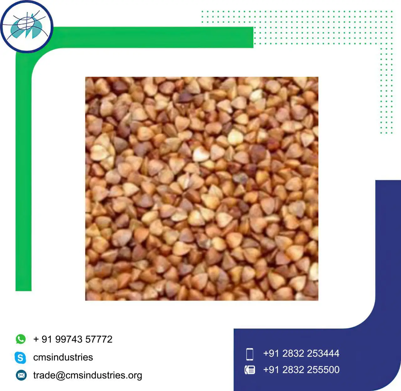  Семена гречихи оптом