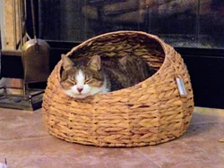 Handmade Wicker Non-toxic Indoor Cat House Small Dog Sleeping Bed Water Hyacinth Pet Basket Bed Made in Vietnam