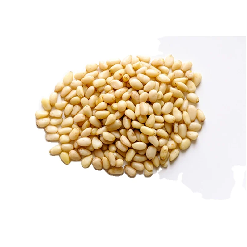 Roasted open pine nut/pine seed/pine nuts low prices