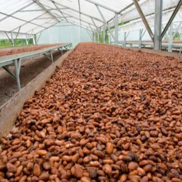 Частная марка оптовые кофейные пакеты жареные магазинные бобы