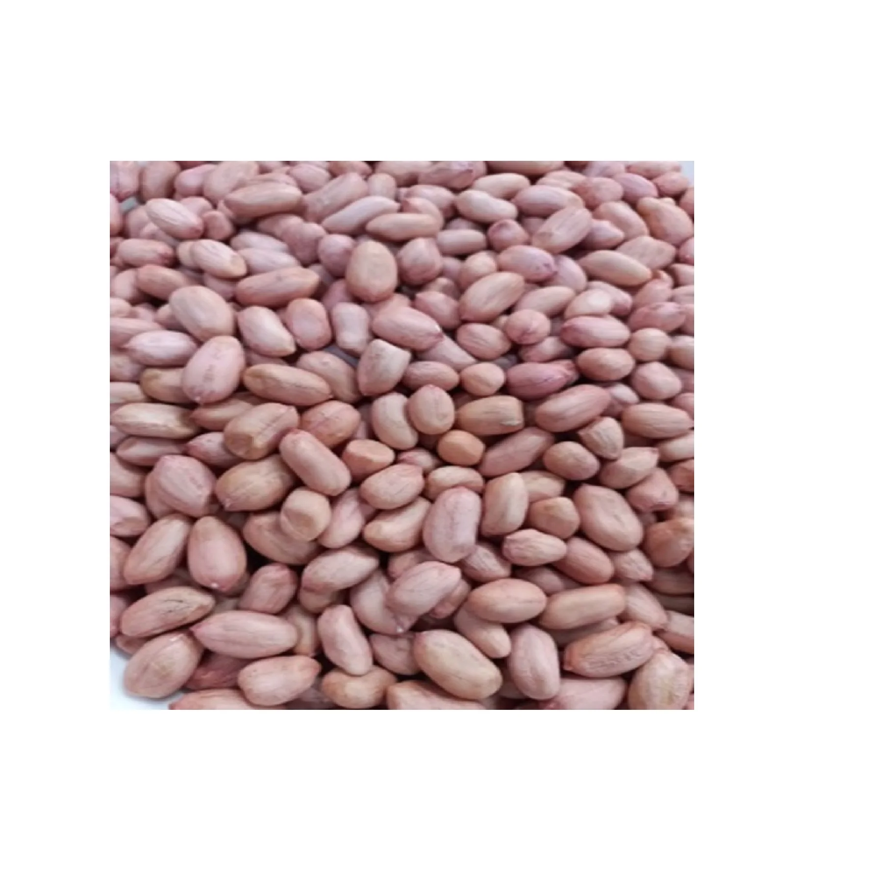 Hot Selling Delicious Fresh Light Pink Fatty Typical Taste Manufacturer Raw Peanuts With Vacuum Packing Bags From Vietnam