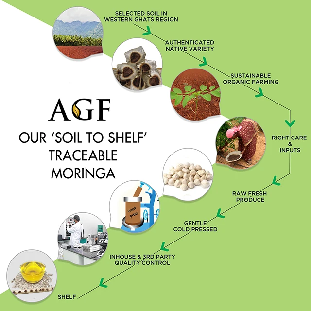 Authentic Indian wooden cold pressed moringa oil supplier Bulk moringa oil from India at low price moringa oil manufacturer