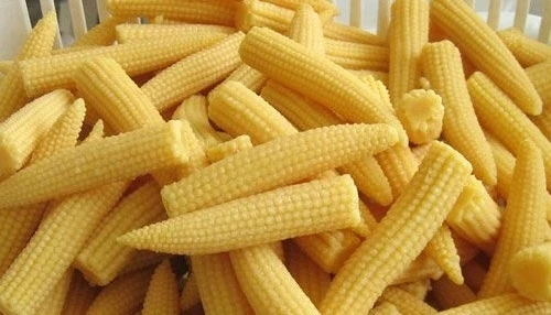 
Fresh Baby Corn/ Frozen IQF delicious Baby Corn best seller 