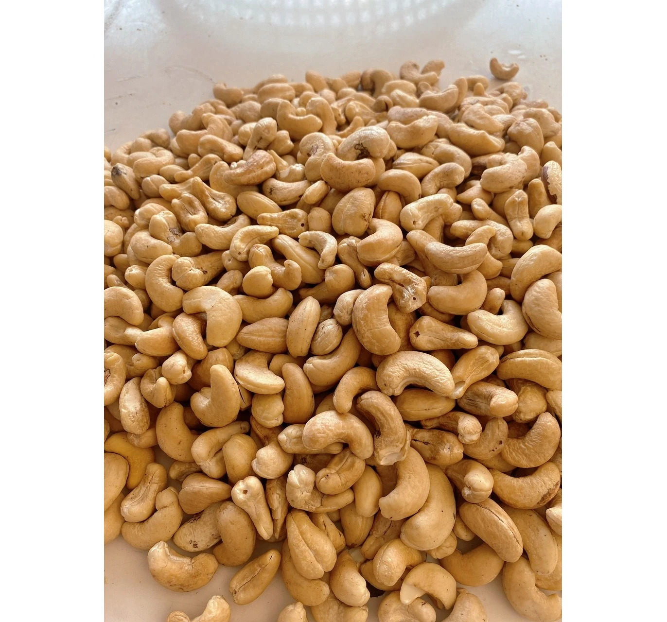 Hot Selling best price Raw  Cashew Nuts W180 W240 W320 W450 WW320 Dried Cashew from Vietnam