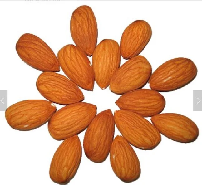 Almond Nuts Style Packaging Food Organic Origin Type Dried Grade Iso Place Model Customer