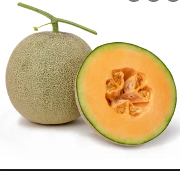 Высококачественная свежая канталупа/канталупа Вьетнам низкая цена мистер Портер + 84 _ 896 612 931