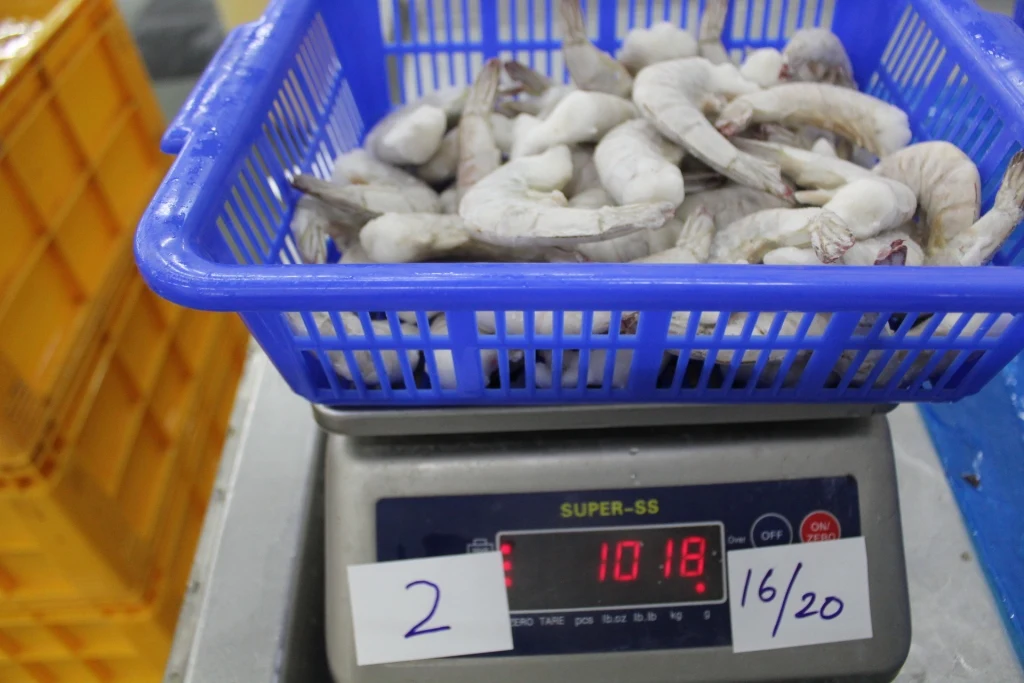 VANNAMEI IQF SHRIMP FROZEN HLSO WITH CUSTOMIZED SPECIFICATION AND HIGH QUALITY SEAFOOD EXPORTERS IN INDIA