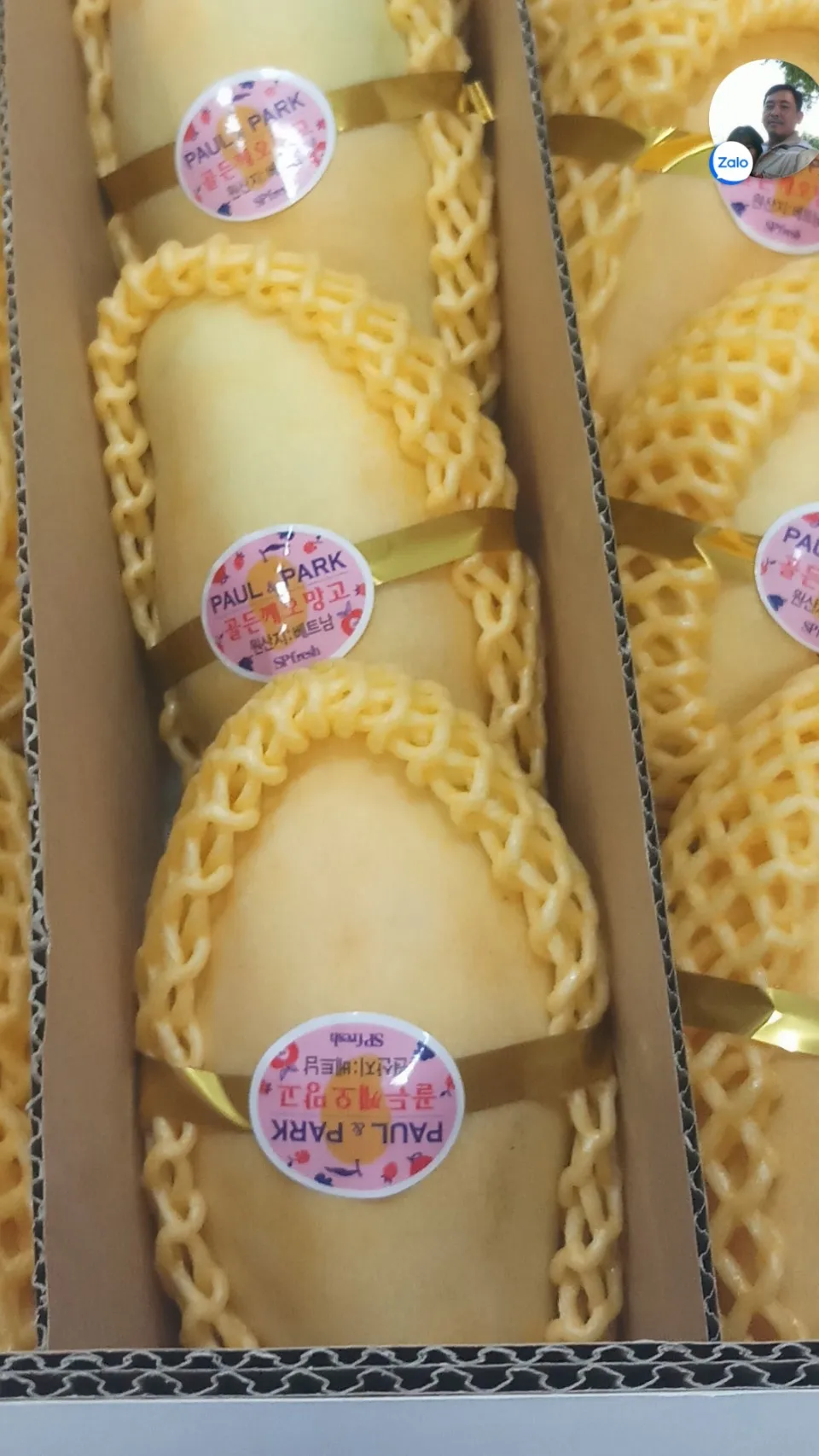 keo mango for export improve health origin in Vietnam sells in bulk