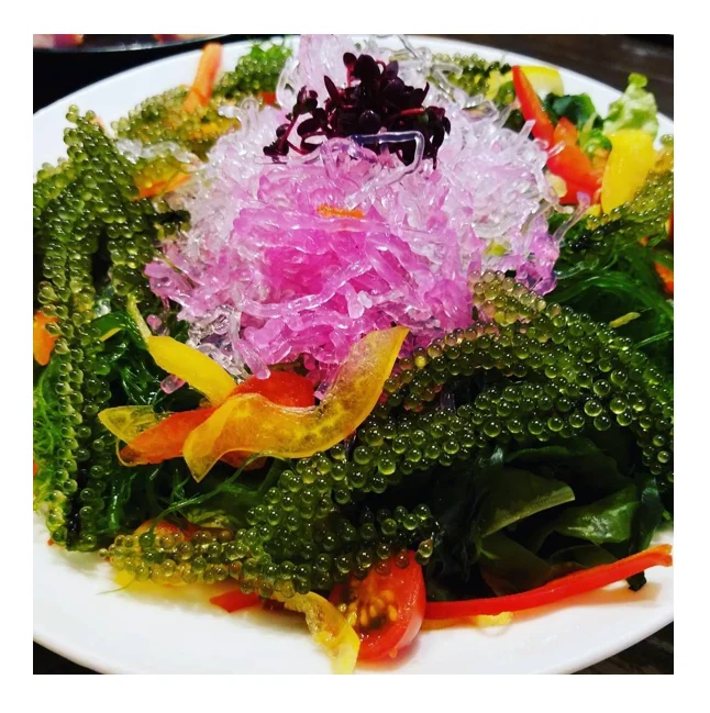 Best seller sea grapes from Vietnam with attractive dishes for children